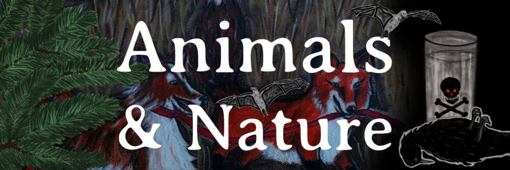 Animals & Nature Book Collection Banner - Fox And Dog