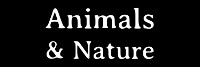Animals & Nature Book Collection Button For Book Page