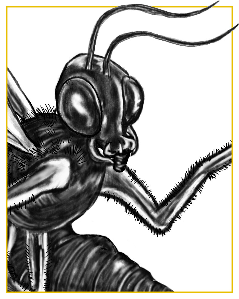Gnat Character from The Fairy Fly